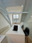 IMG_1116 Medium.jpeg